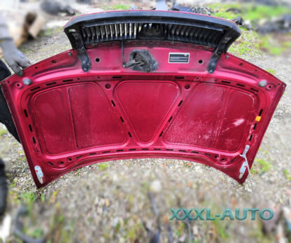 Фото Капот Skoda Fabia 1 6Y2 (червоний колір) 6Y0823031
