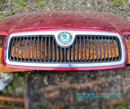 Фото Решітка радіатора Skoda Fabia 1 (червоний колір) 6Y085366801C