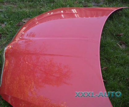 Фото Капот комплектний Skoda Fabia 2