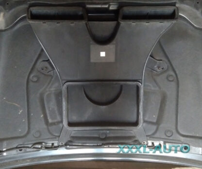 Фото Воздухозаборник капота HYUNDAI SANTA FE 00-06 CRDI