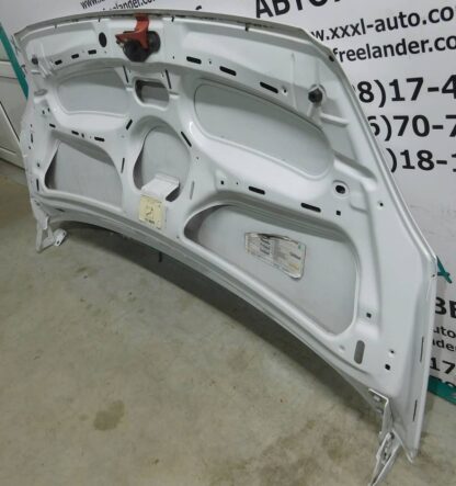 Фото Капот Iveco Daily IV 2006-2011 3800056 Самбір